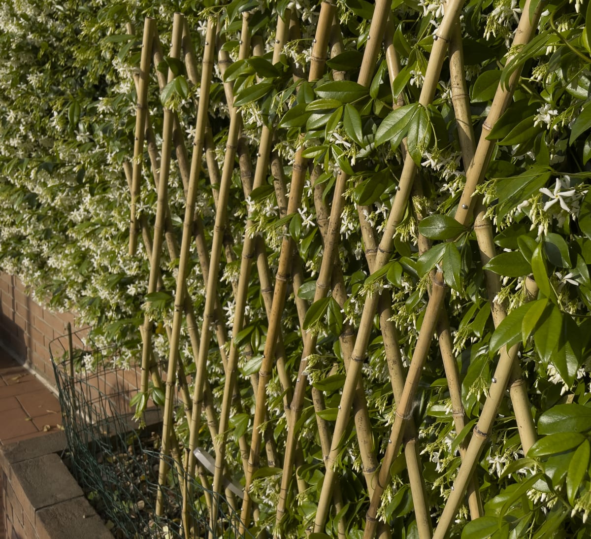 EXTENSIBLE NATURAL BAMBOO TRELLIS 150X180 CM