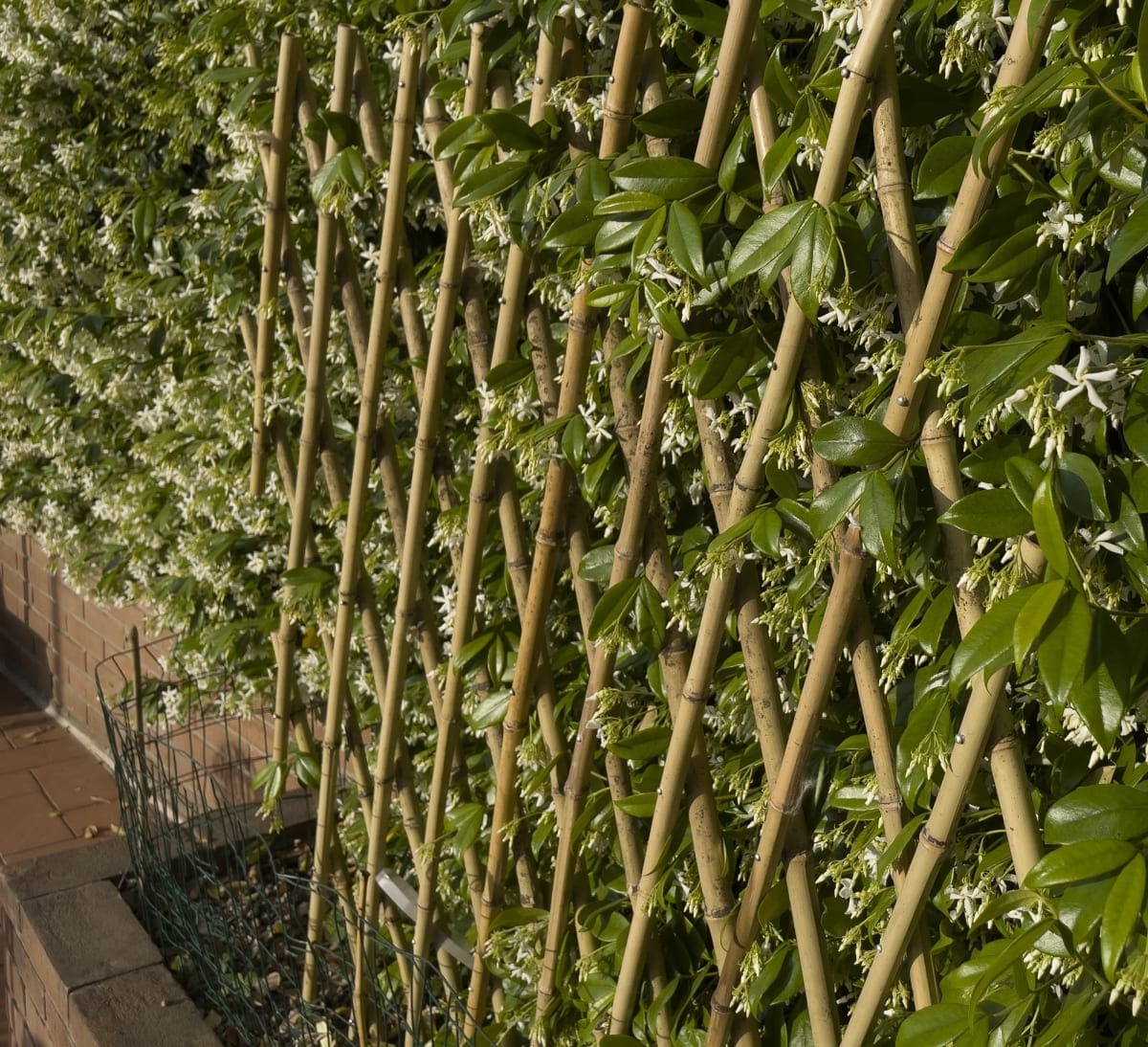 Bricocenter EXTENSIBLE NATURAL BAMBOO TRELLIS 150X180 CM