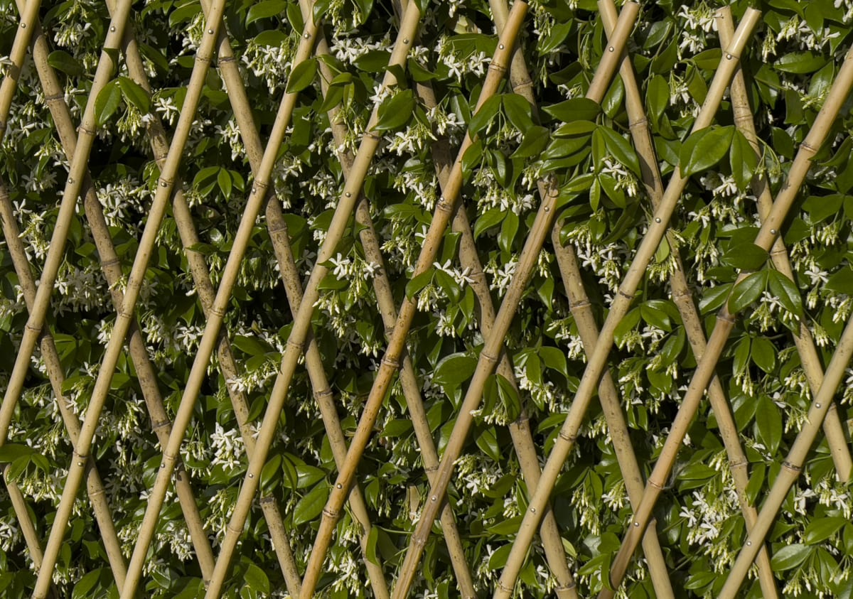 EXTENSIBLE NATURAL BAMBOO TRELLIS 90X180 CM