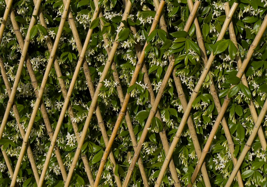 Bricocenter EXTENSIBLE NATURAL BAMBOO TRELLIS 90X180 CM