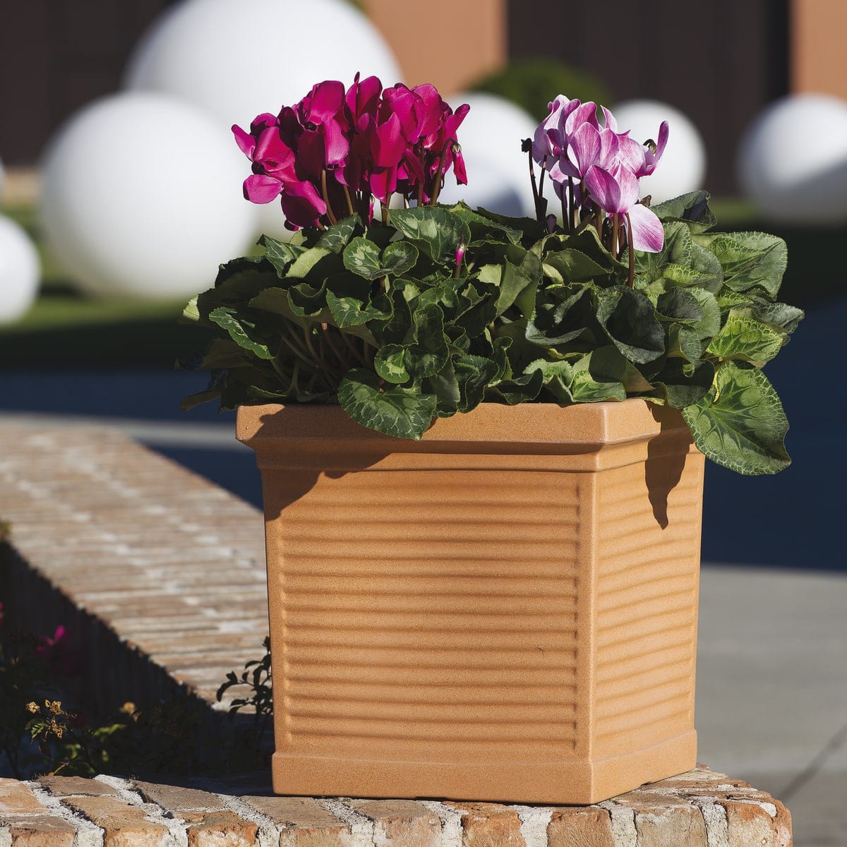 Bricocenter VASO IN PLASTICA ROTAZIONALE QUADRO MILLERIGHE L35XP35XH34,6 CM TERRA DI SIENA