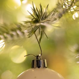 BLISTER 50 GOLD HOOKS