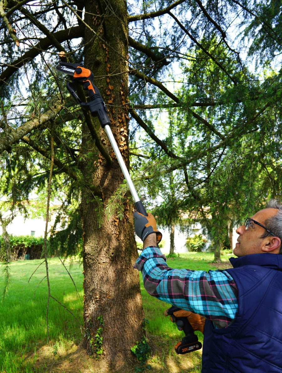 Bricocenter EXTENSION 143 CM PRUNER WORX 014786 AND 015524