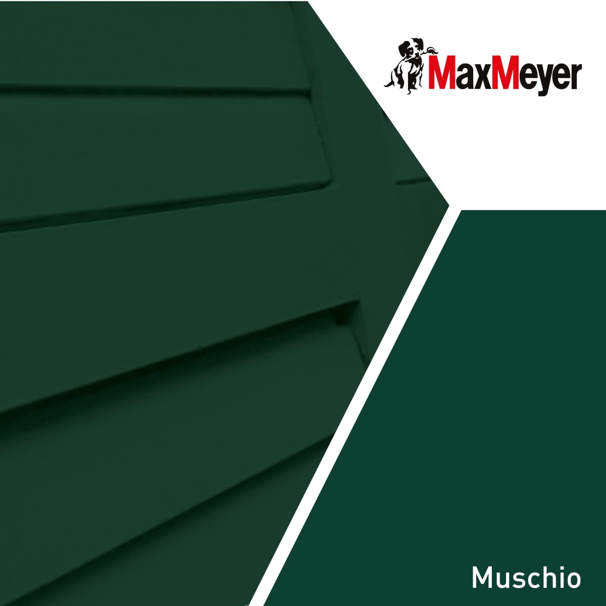 Bricocenter BRILLIANT MOSS SOLVENT ENAMEL R60050 MM 125ML
