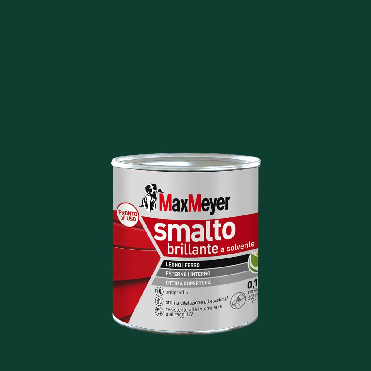 Bricocenter BRILLIANT MOSS SOLVENT ENAMEL R60050 MM 125ML