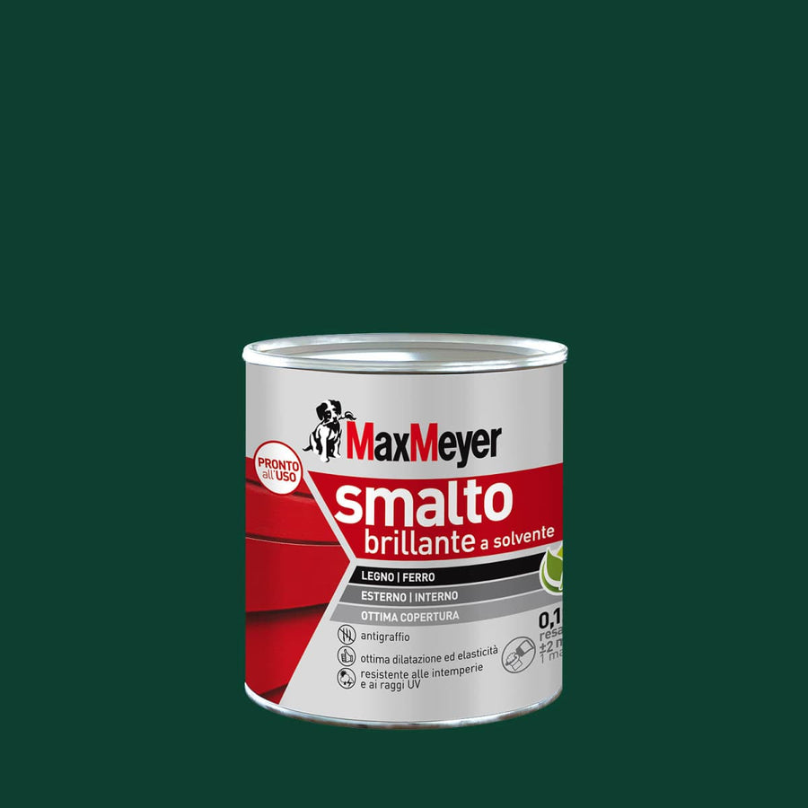 Bricocenter BRILLIANT MOSS SOLVENT ENAMEL R60050 MM 125ML