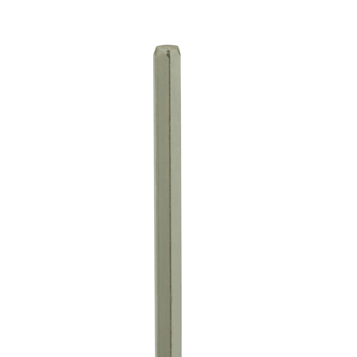 DEXTER WHIP H500MM D90MM FOR PAINT A