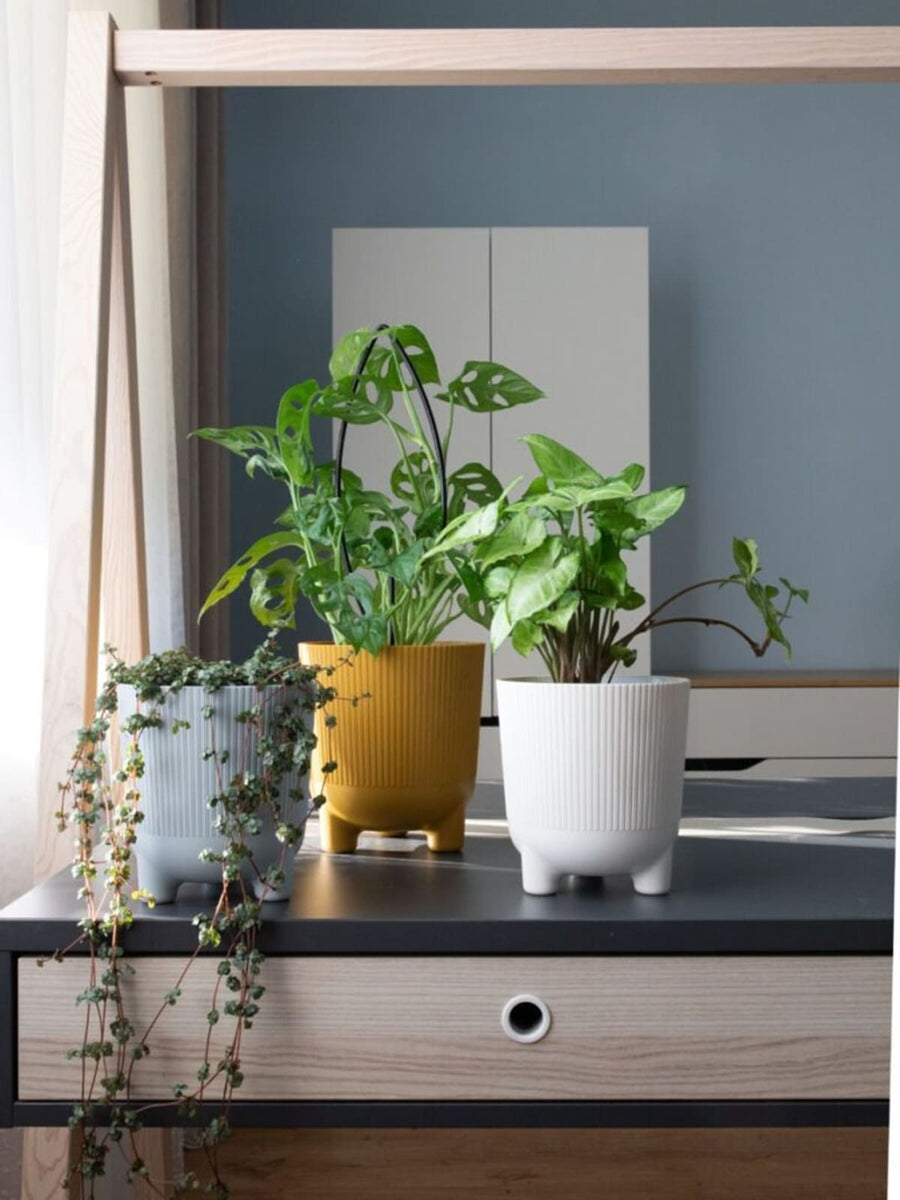 Bricocenter VASO EOLO C/PIEDINI CM 18 H 19,5 BIANCO