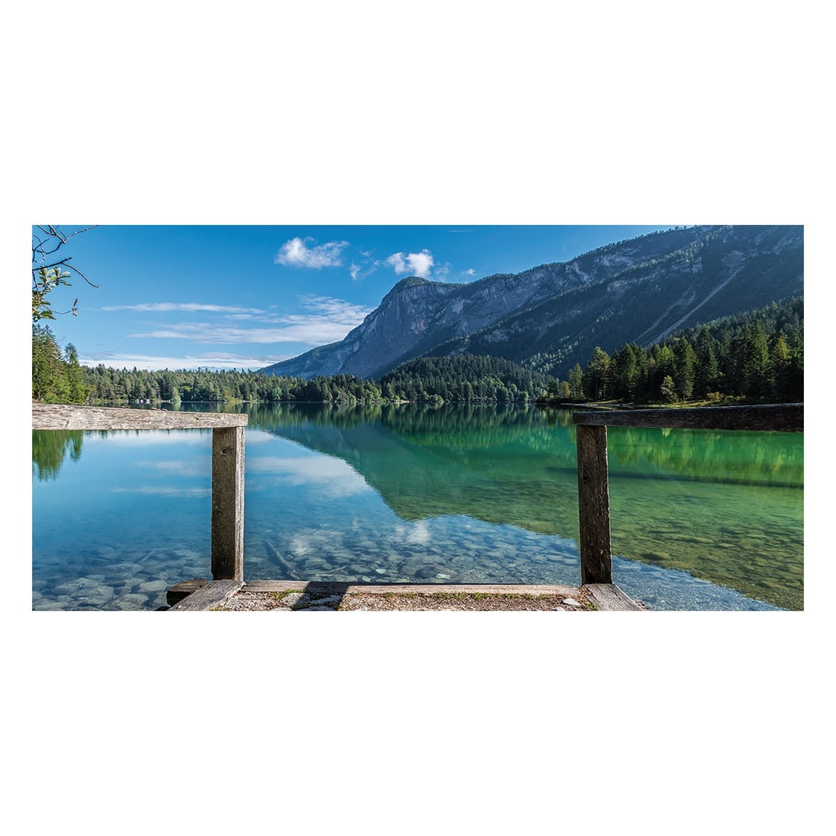 Bricocenter CANVAS 70x140 SOGGETTI ASSORTITI