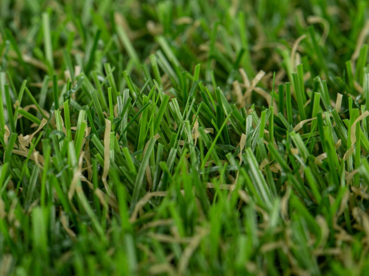 Bricocenter PRE-CUT SYNTHETIC GRASS 20MM ANAFI 2X5M ECOLOGICAL NATERIAL