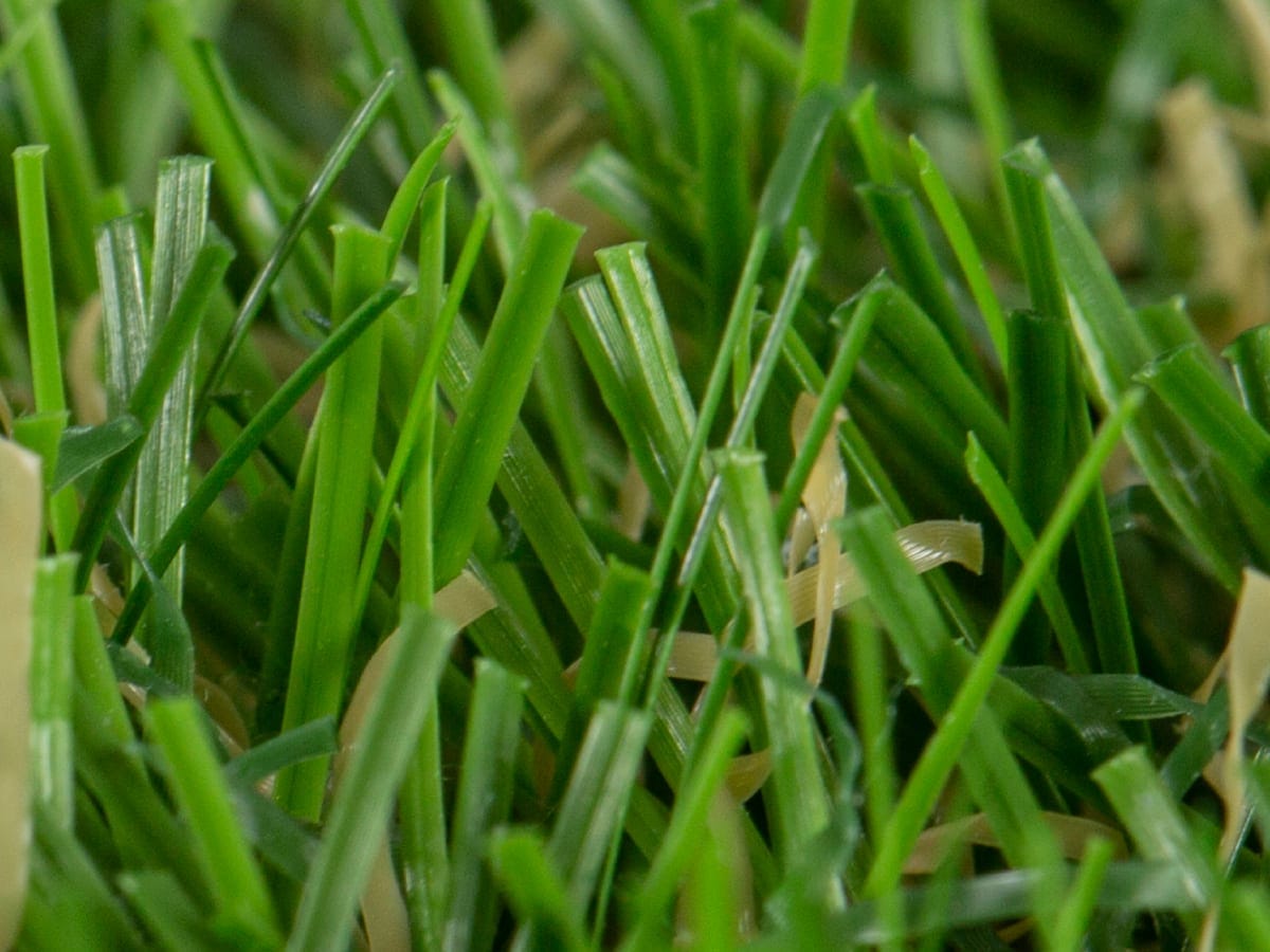 Bricocenter PRE-CUT SYNTHETIC GRASS 20MM ANAFI 2X5M ECOLOGICAL NATERIAL