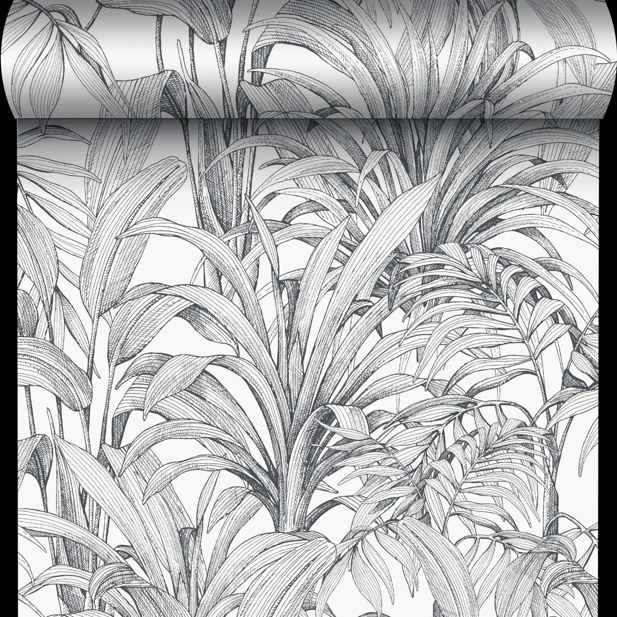 Bricocenter BLACK FERN WALLPAPER ON WHITE BACKGROUND 53CMX10.5M