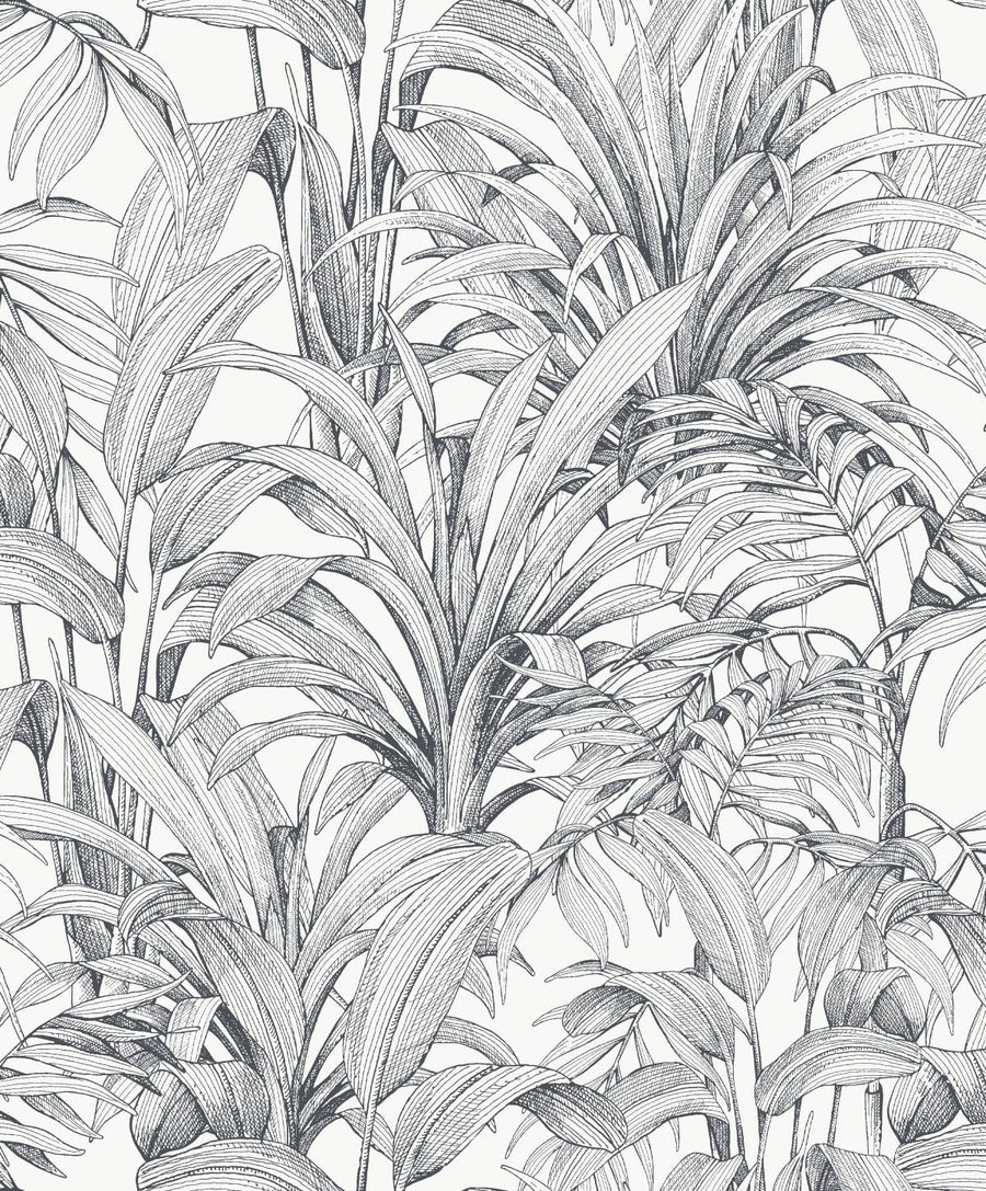 Bricocenter BLACK FERN WALLPAPER ON WHITE BACKGROUND 53CMX10.5M