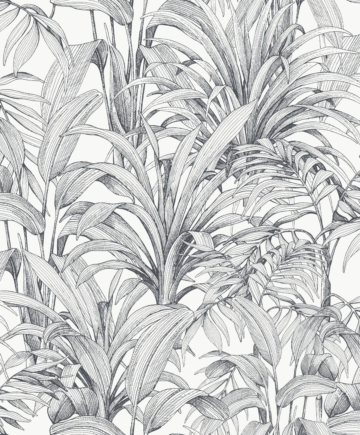 Bricocenter BLACK FERN WALLPAPER ON WHITE BACKGROUND 53CMX10.5M