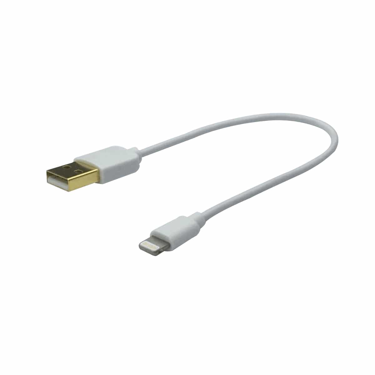 Bricocenter APPLE CABLE 0.2MT LIGHTNING TYPE/A TYPEUSB