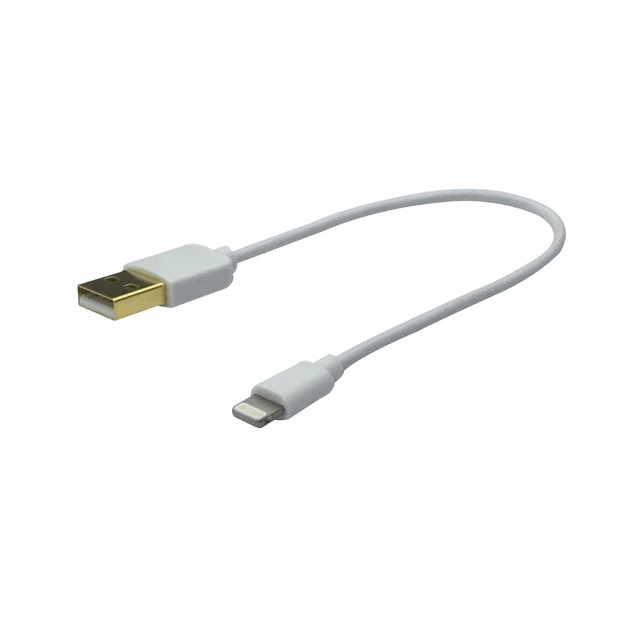 Bricocenter APPLE CABLE 0.2MT LIGHTNING TYPE/A TYPEUSB