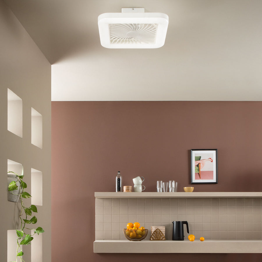 Merak ceiling light with fan, 48x48cm, 40W LED, 5400 lm, CCT RGB, Bluetooth