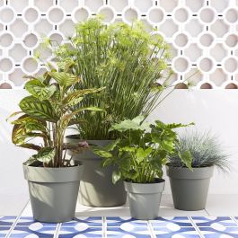 NATERIAL ROUND VASE CM 29.5 H25.8 GREEN