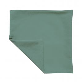 PHARELL COVER GREEN 60X60 CM