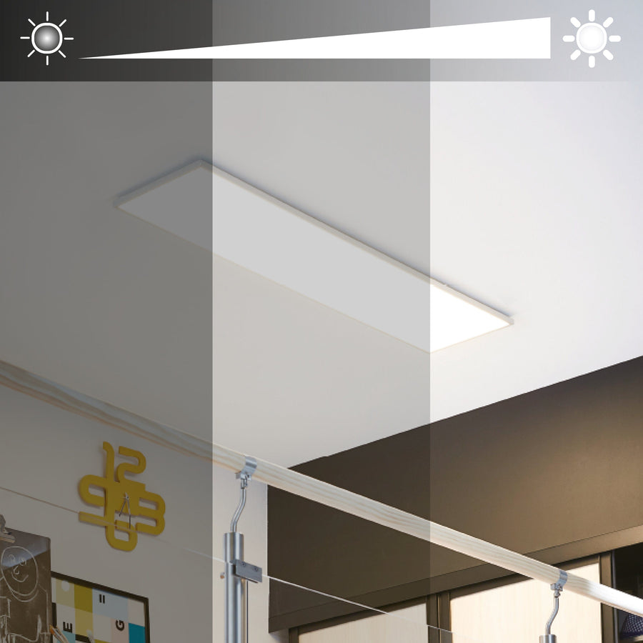Bricocenter ALUMINIUM LED PANEL SILVER 30X120 CM 42W CCT DIMMABLE