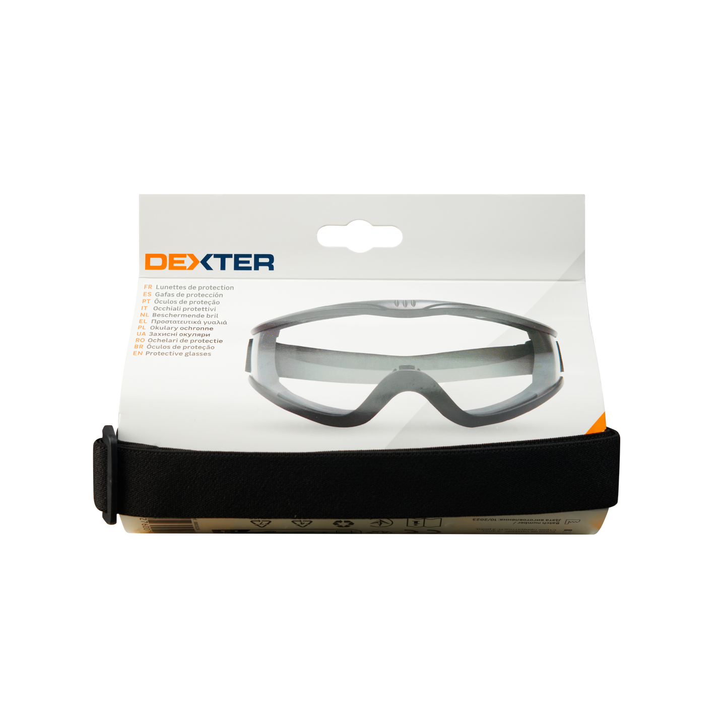 DEXTER POLYCARBONATE ANTI-FOG GOGGLES