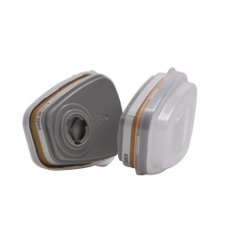 DEXTER A1P2R ABS AND ACTIVATED CARBON FILTERS 2PCS