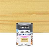 SOLVENT-BASED EXTREME CLIMATE FLATTING 250ML LUXENS