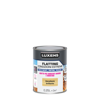 SOLVENT-BASED EXTREME CLIMATE FLATTING 250ML LUXENS