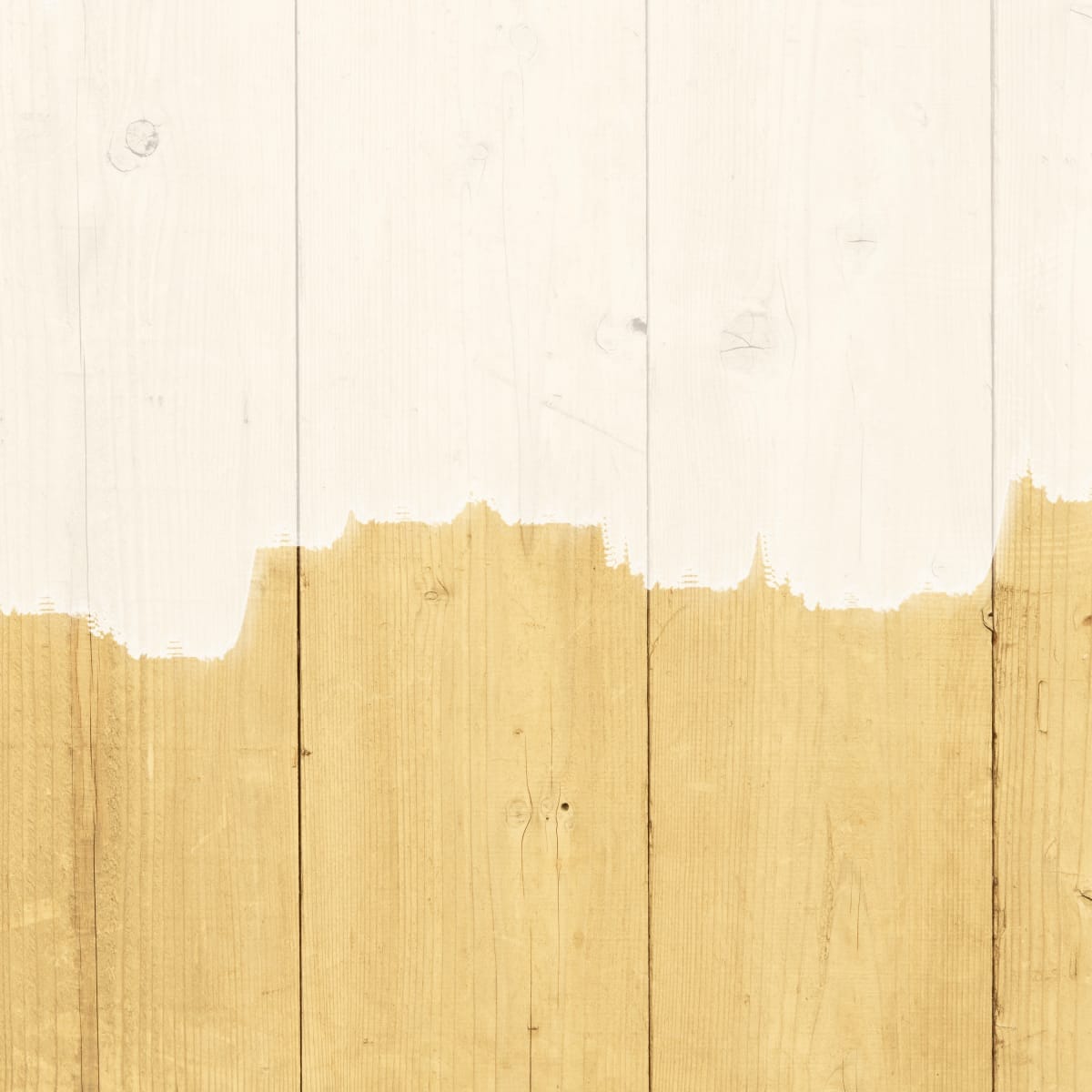 Bricocenter LUXENS WOOD PRIMER/WATER WHITE 500ML