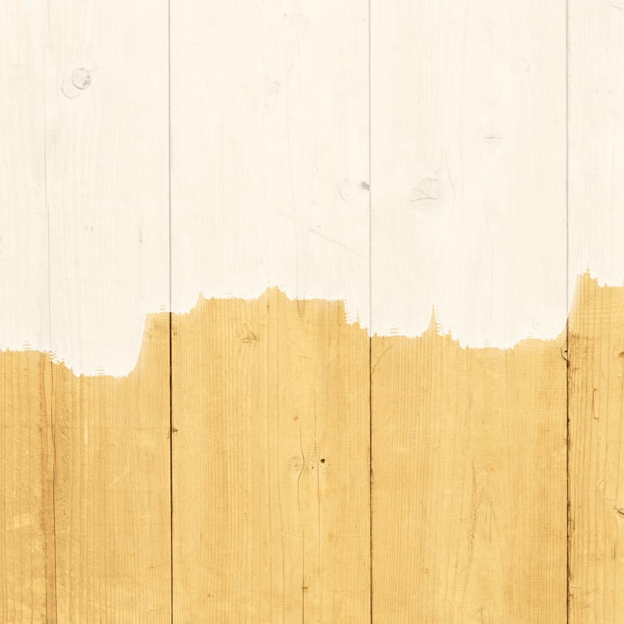 Bricocenter LUXENS WOOD PRIMER/WATER WHITE 500ML