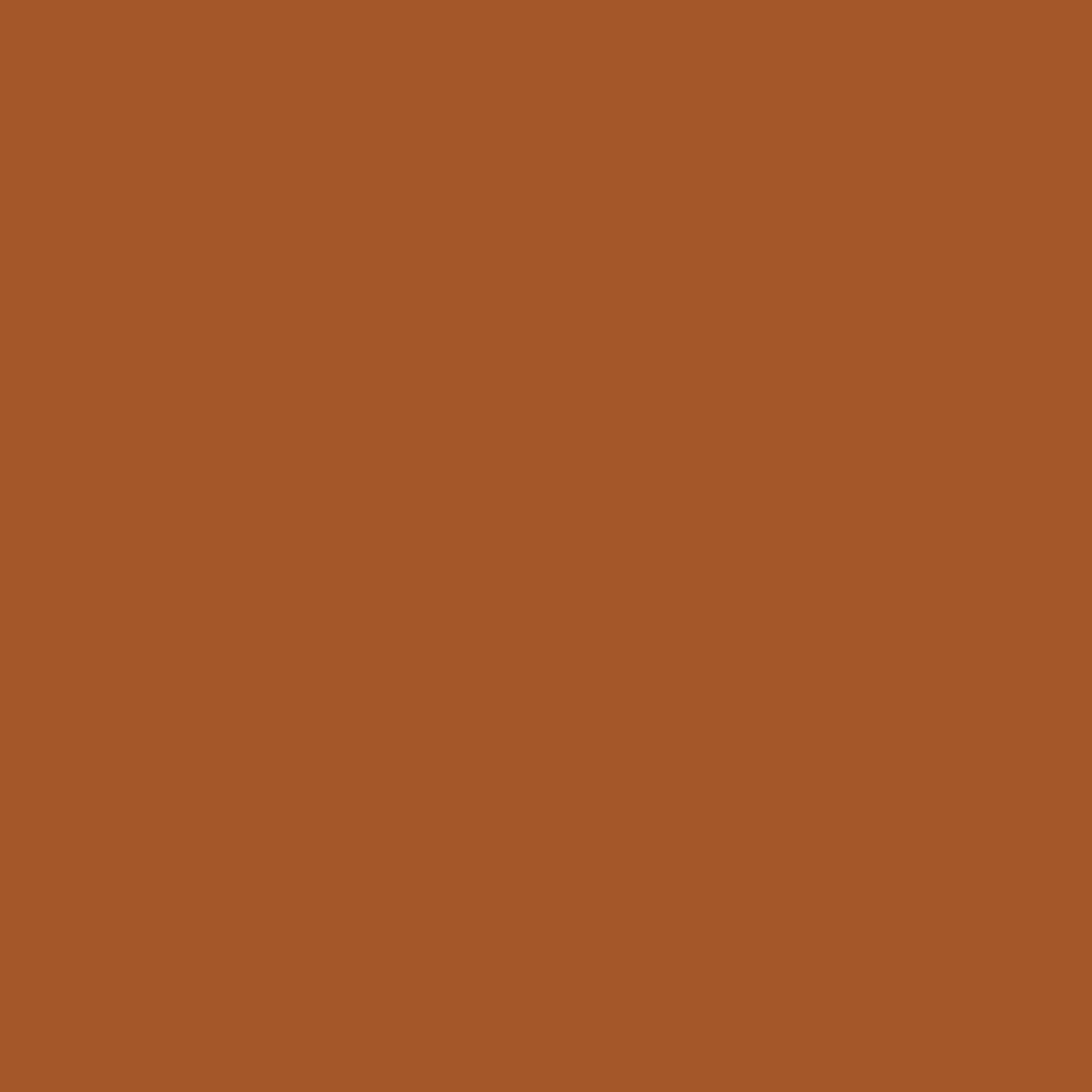Axton bituminous waterproofing tape, terracotta, W10 cm x 5 m
