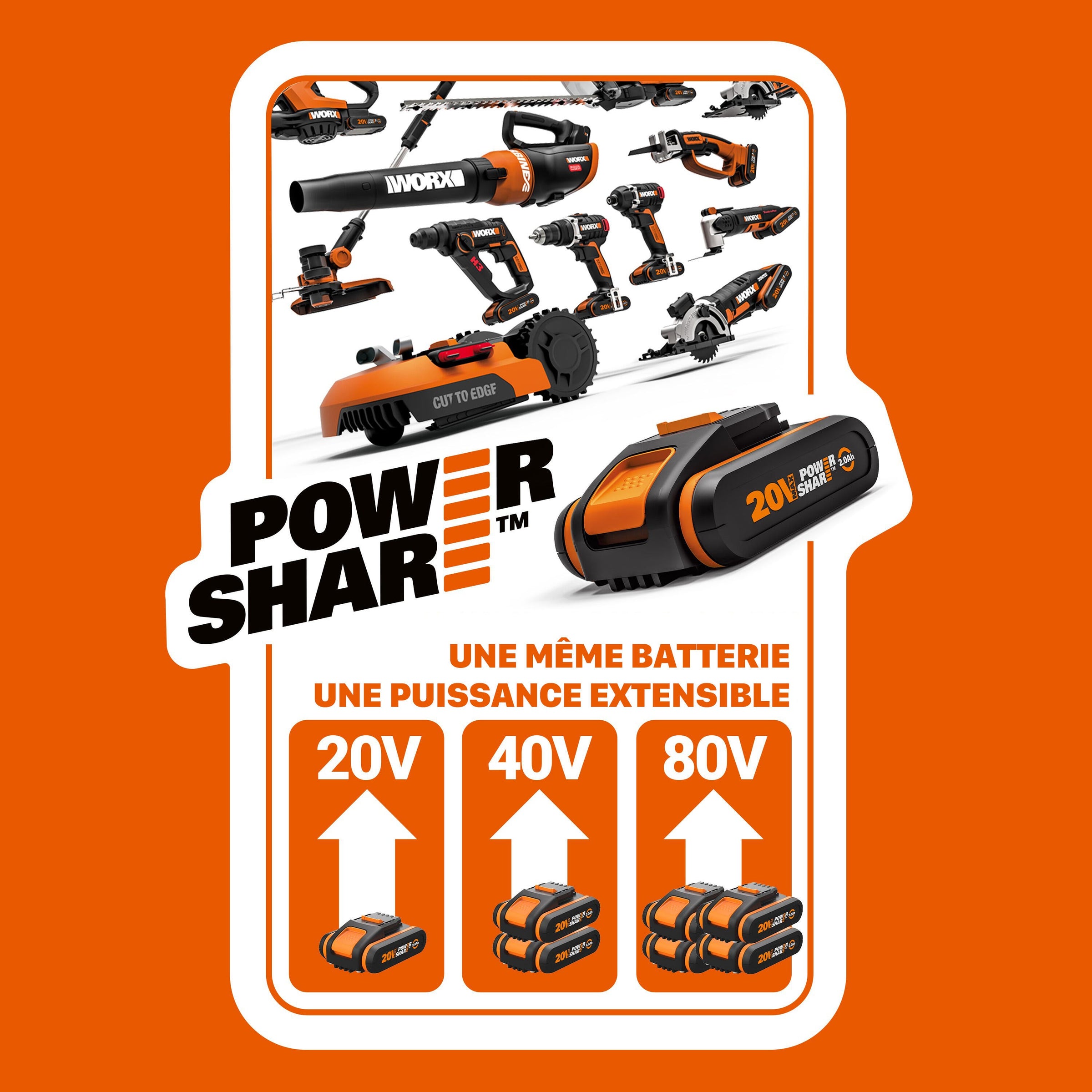 WORX 20V BATTERY AND RAPID CHARGER SET