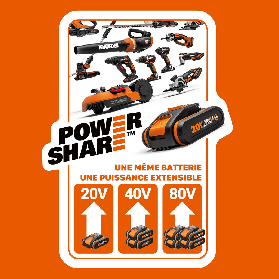 WORX 20V BATTERY AND RAPID CHARGER SET