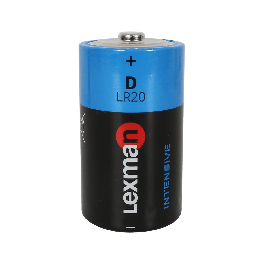 2 INTENSIVE ALKALINE TORCH BATTERIES