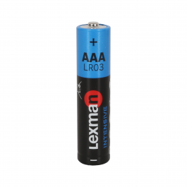 8 BATTERIES + 4 FREE AAA ALKALINE BATTERIES