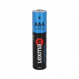 8 BATTERIES + 4 FREE AAA ALKALINE BATTERIES