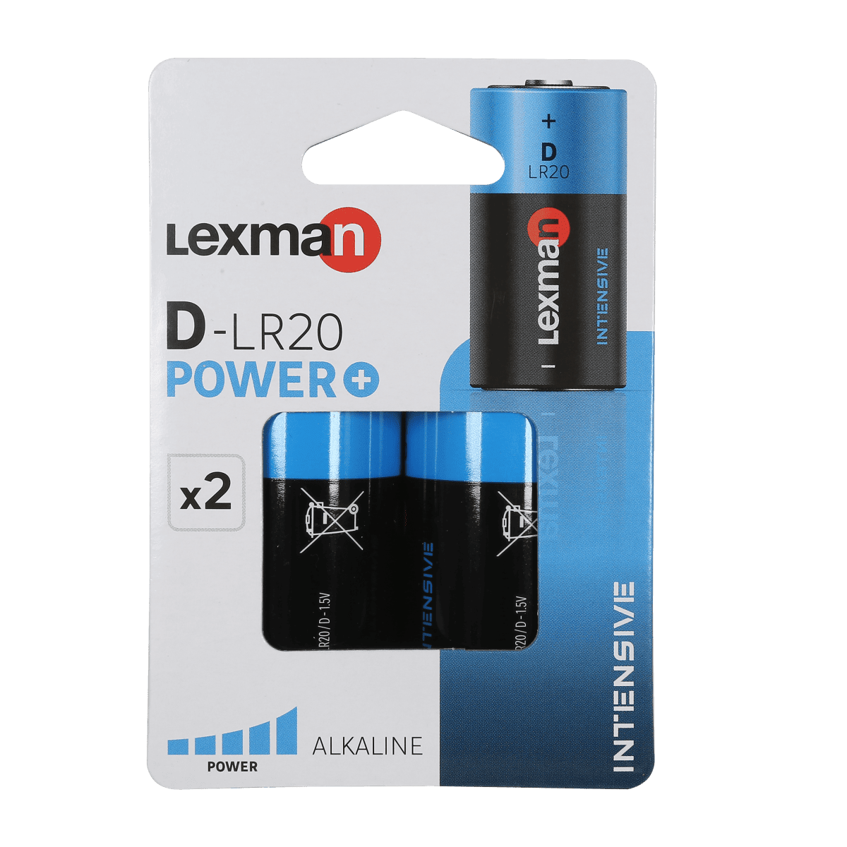 2 INTENSIVE ALKALINE TORCH BATTERIES