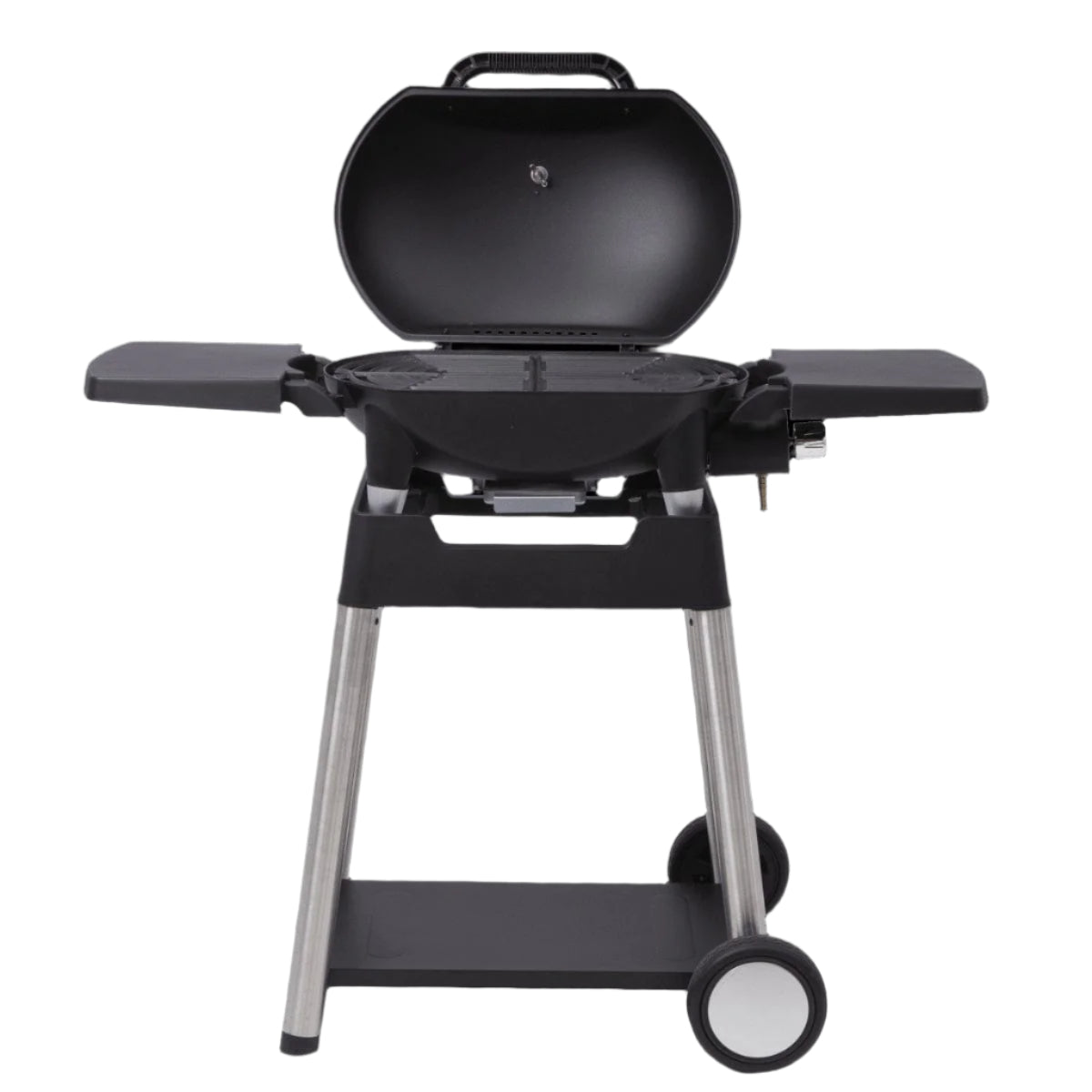 Bricocenter GAS BARBECUE NATERIAL ARGON 1 FUOCO 3KW WITH TROLLEY