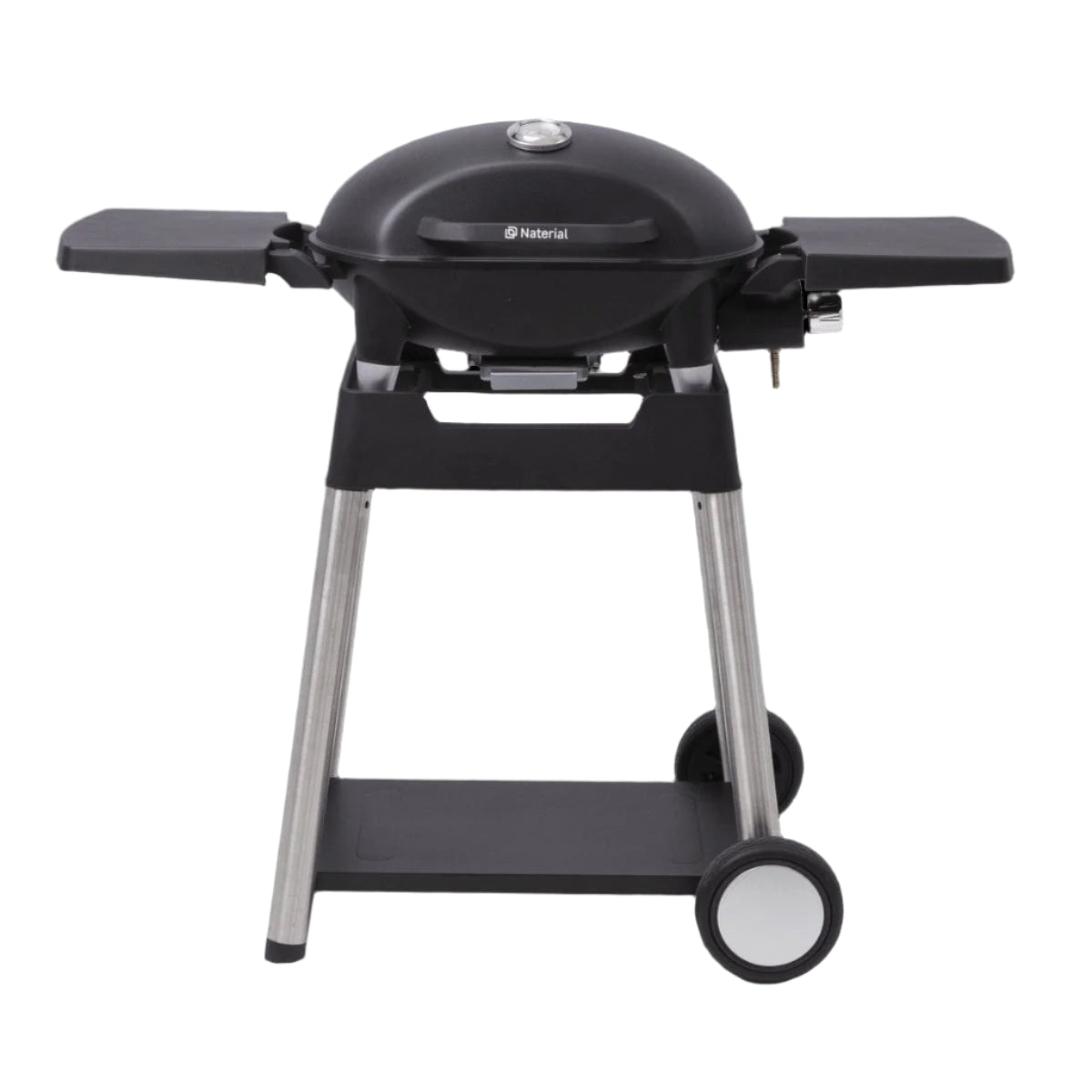 Bricocenter GAS BARBECUE NATERIAL ARGON 1 FUOCO 3KW WITH TROLLEY