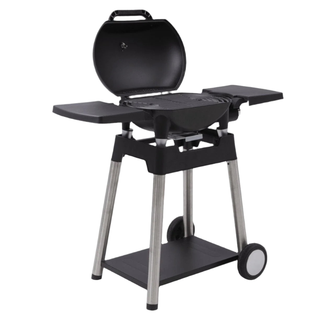 Bricocenter GAS BARBECUE NATERIAL ARGON 1 FUOCO 3KW WITH TROLLEY