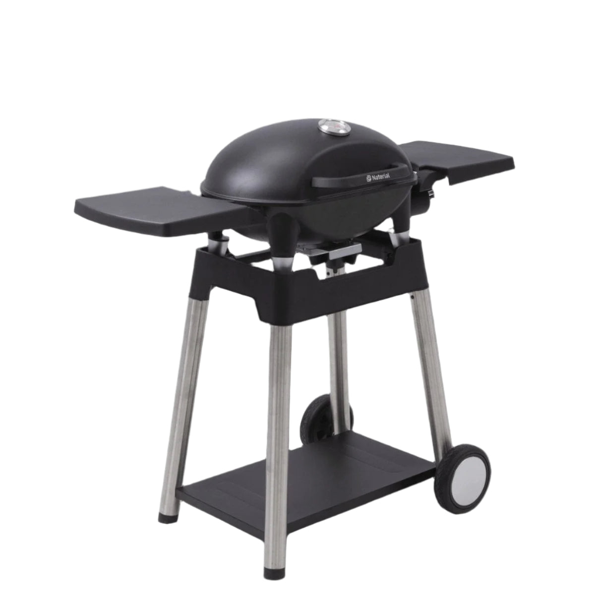 Bricocenter GAS BARBECUE NATERIAL ARGON 1 FUOCO 3KW WITH TROLLEY