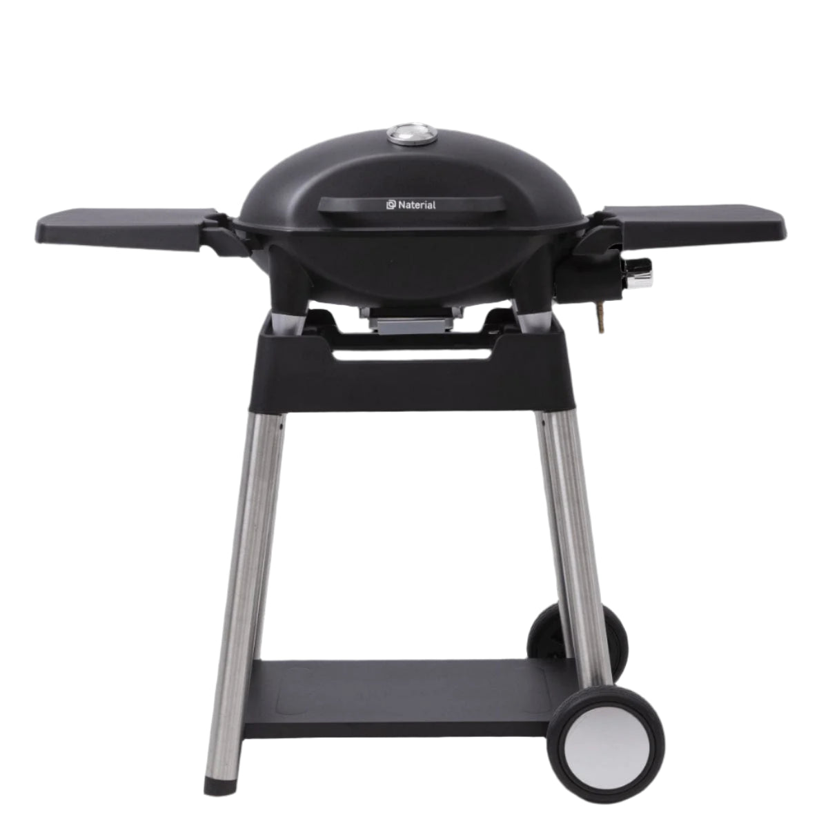 Bricocenter GAS BARBECUE NATERIAL ARGON 1 FUOCO 3KW WITH TROLLEY