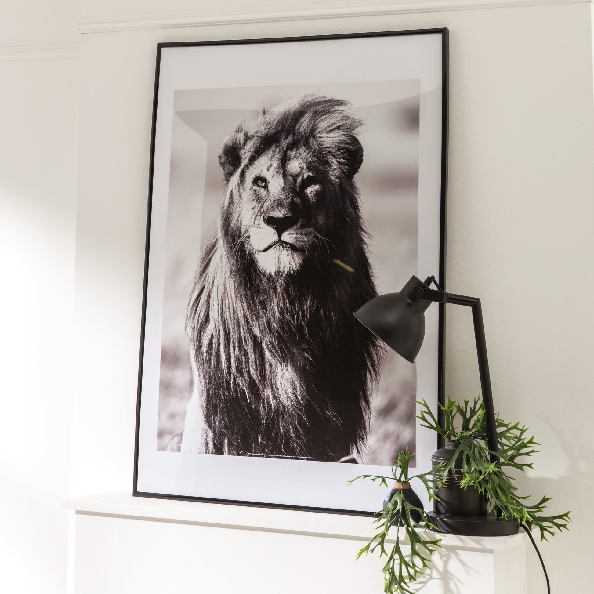 Bricocenter LILA 30X40 CM PVC BLACK FRAME