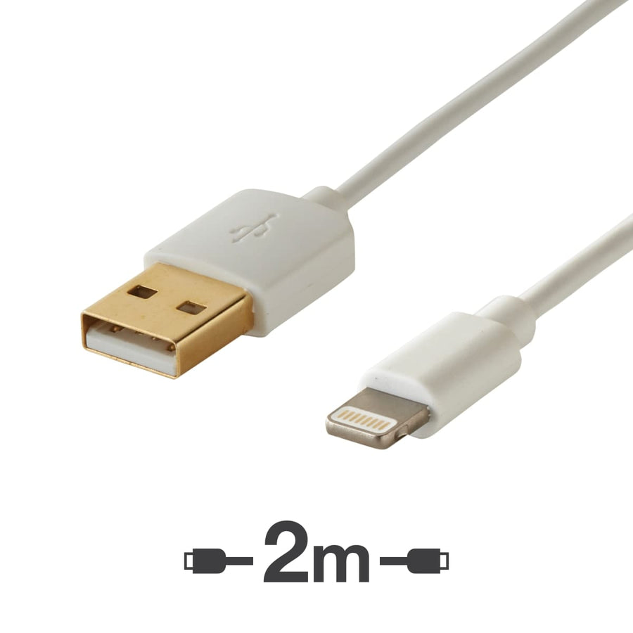 Bricocenter APPLE 2MT LIGHTNING TYPE / A TYPE USB CABLE