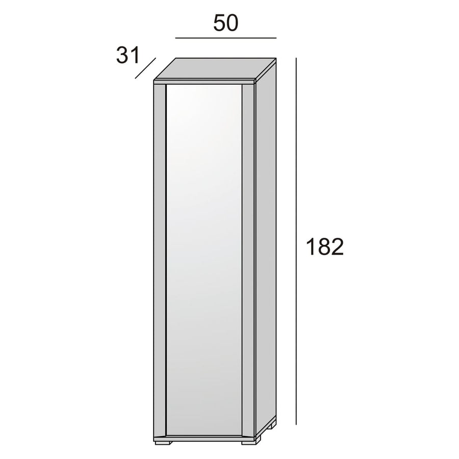 Bricocenter SHOE CABINET DOOR MIRROR WITH CONCRETE FRAME 50X32X182