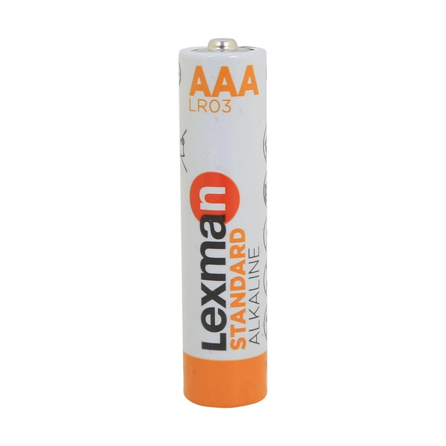 Bricocenter 8 BATTERIES + 4 FREE AAA ALKALINE BATTERIES