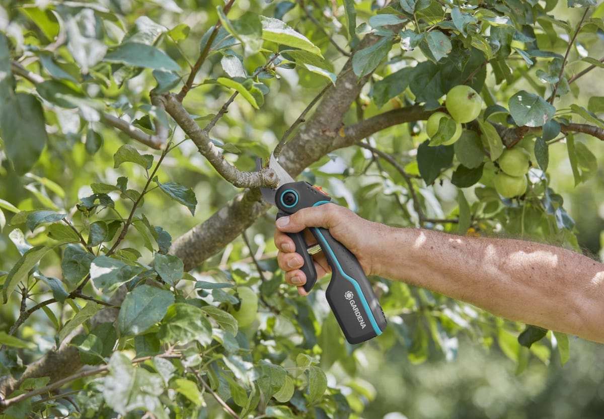 Bricocenter GARDENA BATTERY SHEAR CUT 25MM ASSISTCUT