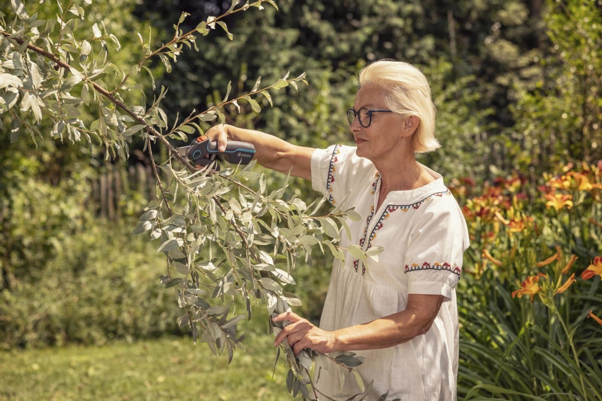 Bricocenter GARDENA BATTERY SHEAR CUT 25MM ASSISTCUT