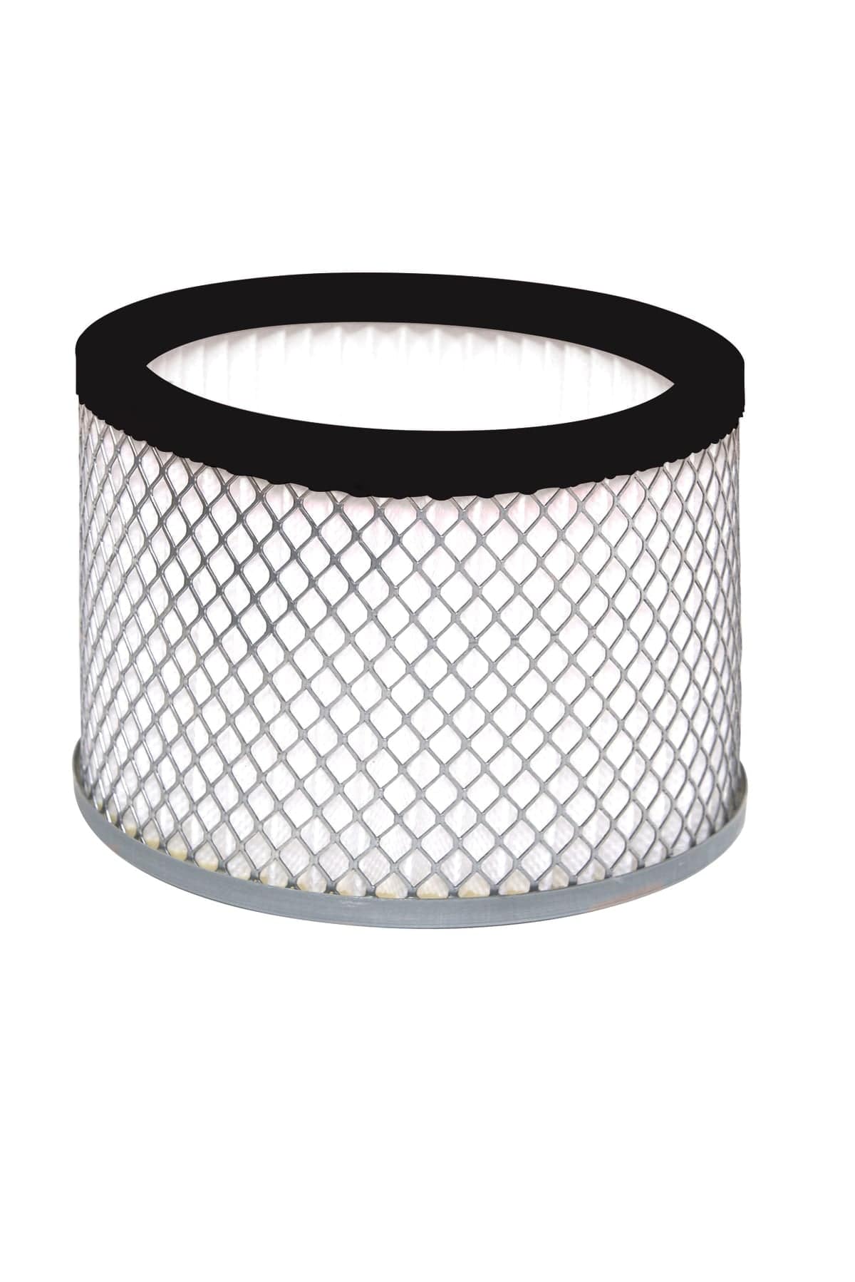 Bricocenter HEPA FILTER FOR DEXTER BASIC ASH EXTRACTOR