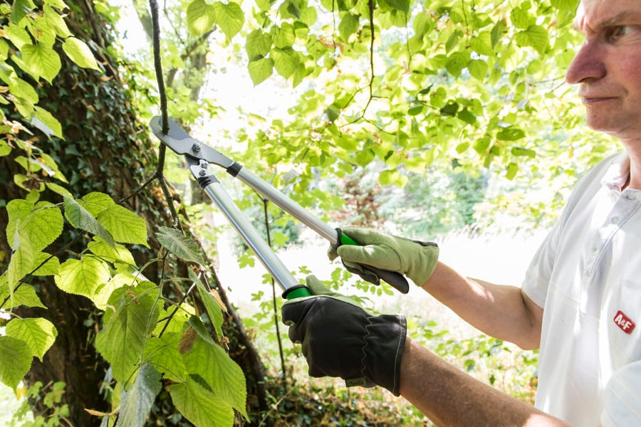 Bricocenter 50 CM ALUMINIUM GEOLIA LOPPERS